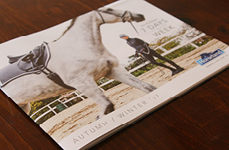 Horseland AW17 Catalogue